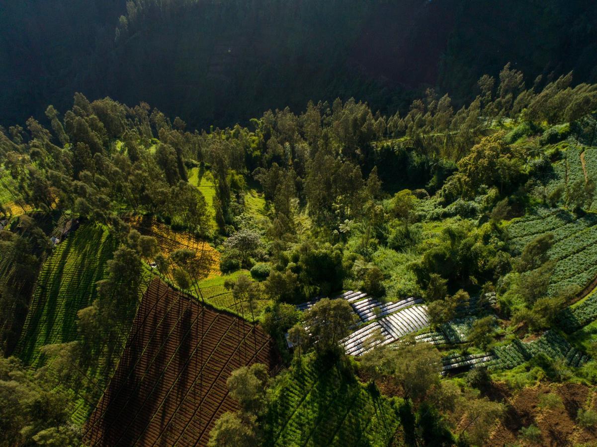 Plataran Bromo Ξενοδοχείο Εξωτερικό φωτογραφία