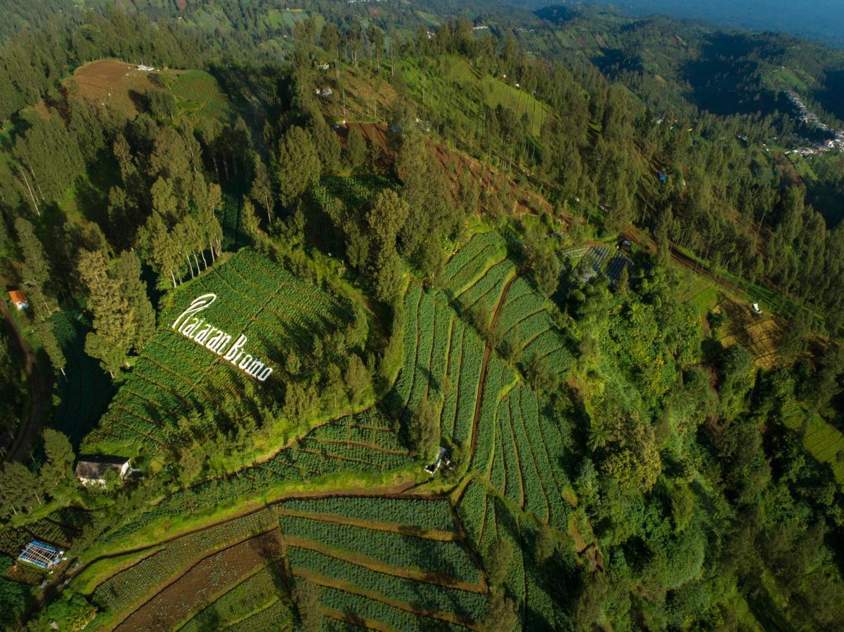 Plataran Bromo Ξενοδοχείο Εξωτερικό φωτογραφία